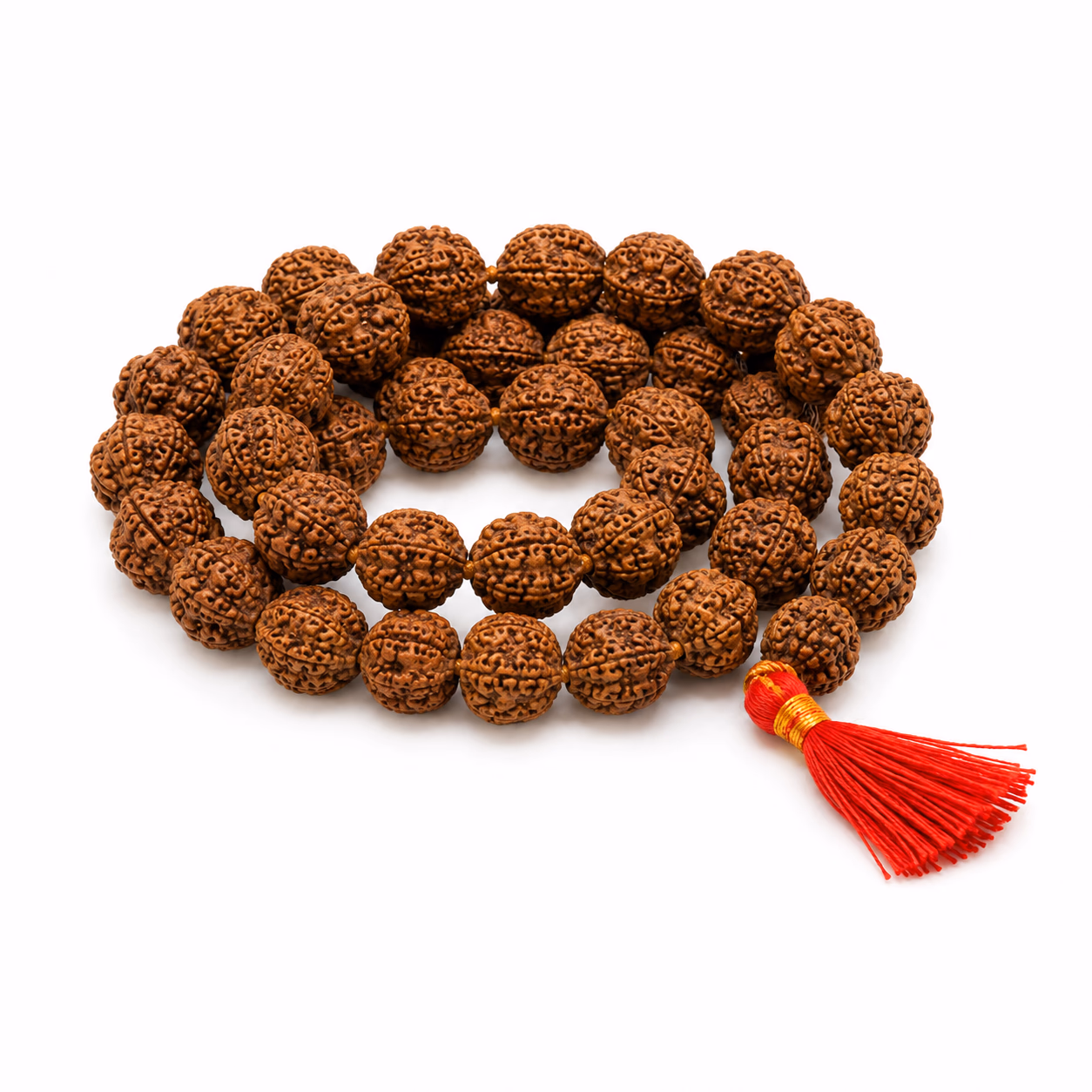 Rudraksha Rudraksha - Image 1