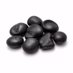 Saligram